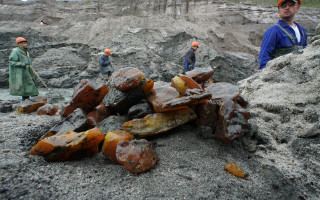 Раде предлагают снизить ренту на добычу янтаря