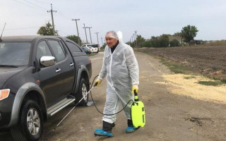 В одной из областей Украины забили и сожгли 4000 свиней из-за опасного вируса