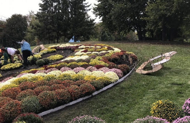 Цветочное созвездие: киевлян приглашают на «звездную» выставку цветов