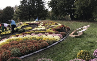 Цветочное созвездие: киевлян приглашают на «звездную» выставку цветов