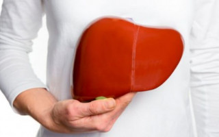 Назван способ сохранить здоровье печени