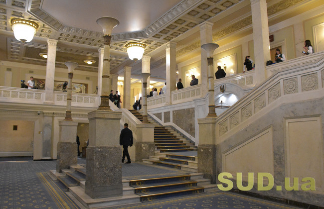 ФОПи, земля, столиця і референдум: нардеп окреслив топ-теми Верховної Ради