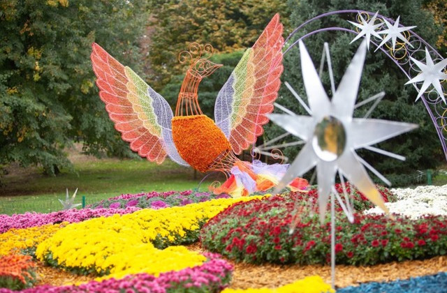 Киевлян приглашают на «звездную» выставку цветов: яркие фото