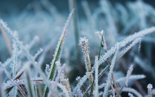 В Києві похолоднішає: повертаються заморозки і дощі