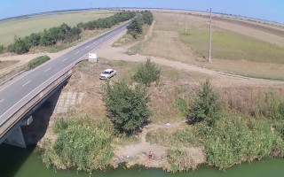 В Одесской области зафиксировали массовый мор рыбы