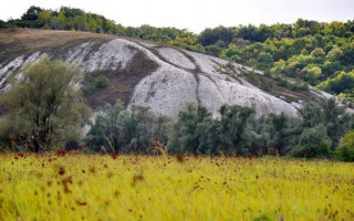 Захист Національного природного парку «Дворічанський»: правова позиція ВС