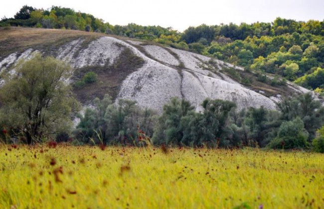 Захист Національного природного парку «Дворічанський»: правова позиція ВС