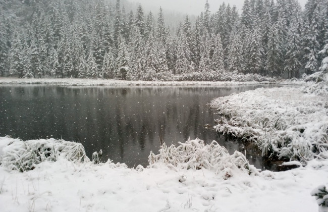 Карпаты засыпало снегом, синоптики обещают заморозки