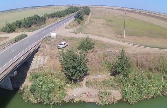 В Одесской области зафиксировали массовый мор рыбы