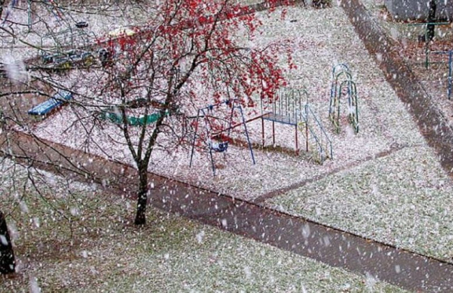 В Киеве выпал первый снег: появилось видео