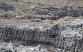 Уряд вніс до Ради три законопроекти щодо видобутку бурштину