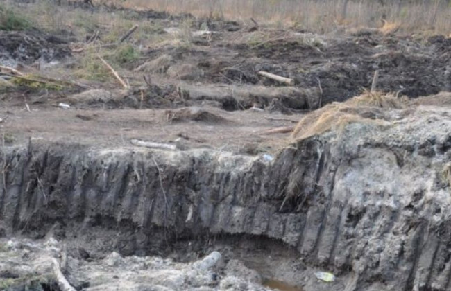 Уряд вніс до Ради три законопроекти щодо видобутку бурштину