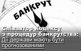 Співавтор Кодексу з процедур банкрутства: Дії держави мають бути прогнозованими