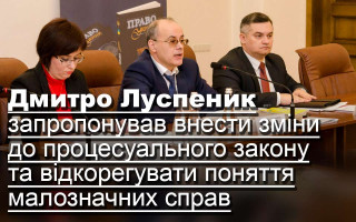 Дмитро Луспеник запропонував внести зміни до процесуального закону та відкорегувати поняття малозначних справ