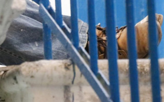 В админздании Киевского метрополитена повесился мужчина: что известно