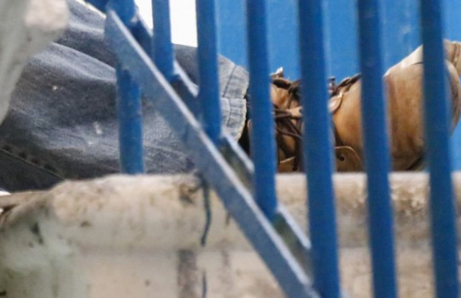 В админздании Киевского метрополитена повесился мужчина: что известно