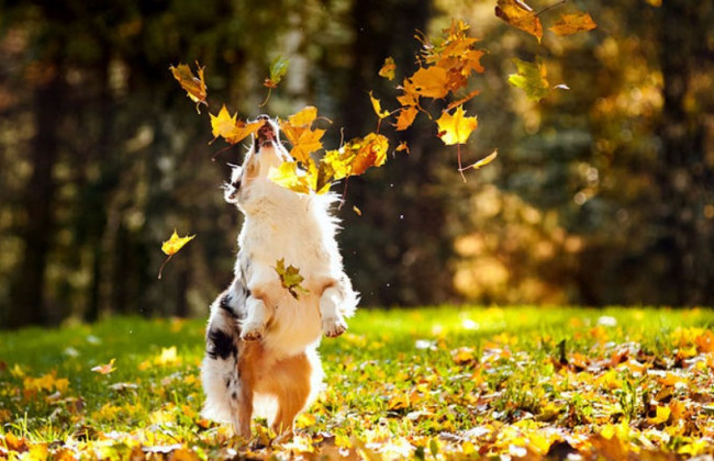 Погода на вихідні: синоптики очікують різкого потепління