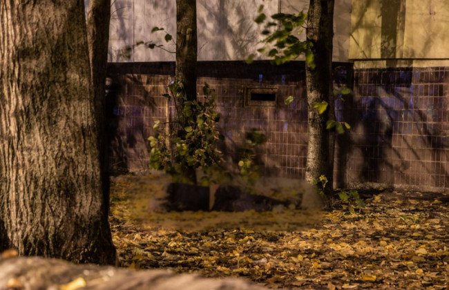 Чути крики: з вікна дніпровської багатоповерхівки випав чоловік