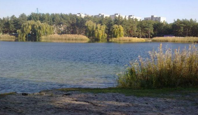 Под Донецком спасли женщину-самоубийцу