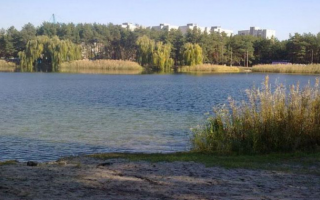 Под Донецком спасли женщину-самоубийцу