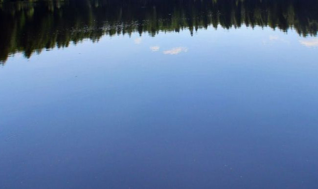 Искали пять дней: на дне озера нашли тело чиновника из Луцка