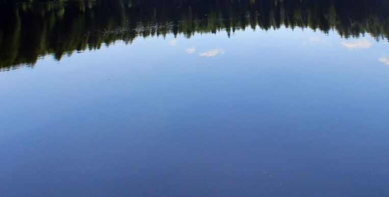 Искали пять дней: на дне озера нашли тело чиновника из Луцка