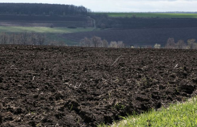 Цільове призначення земельної ділянки власник визначатиме самостійно: ініціатива «Слуги народу»