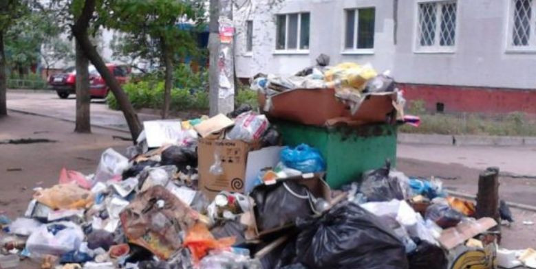 Жахлива знахідка у Миколаєві: в урні для сміття виявили людський череп