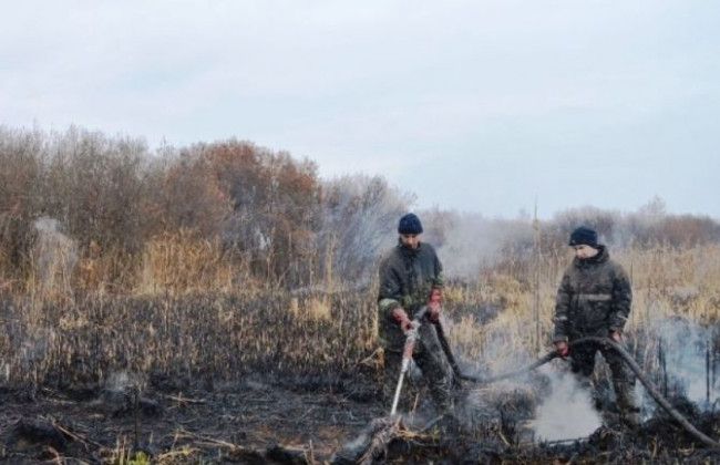 Масштабный пожар под Киевом: подробности