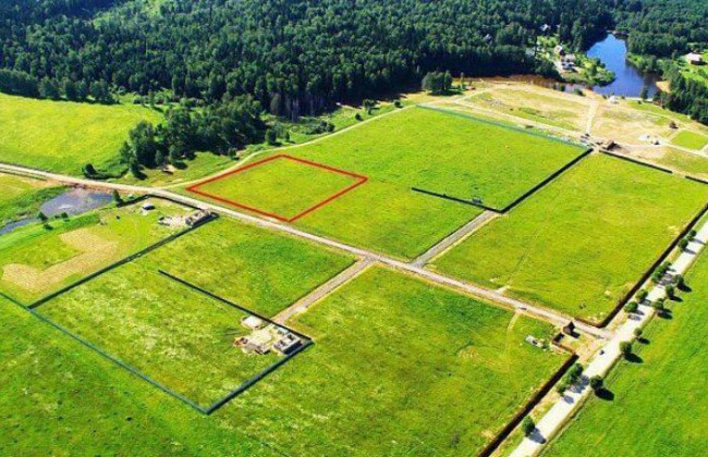 Як реалізувати право на безоплатне отримання земельної ділянки: практика ВС