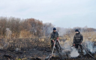 Масштабный пожар под Киевом: подробности