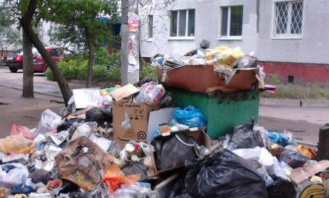 Жахлива знахідка у Миколаєві: в урні для сміття виявили людський череп