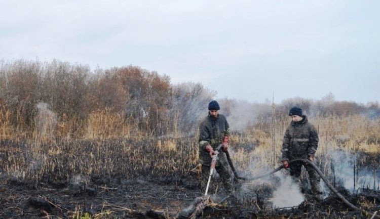 Масштабный пожар под Киевом: подробности