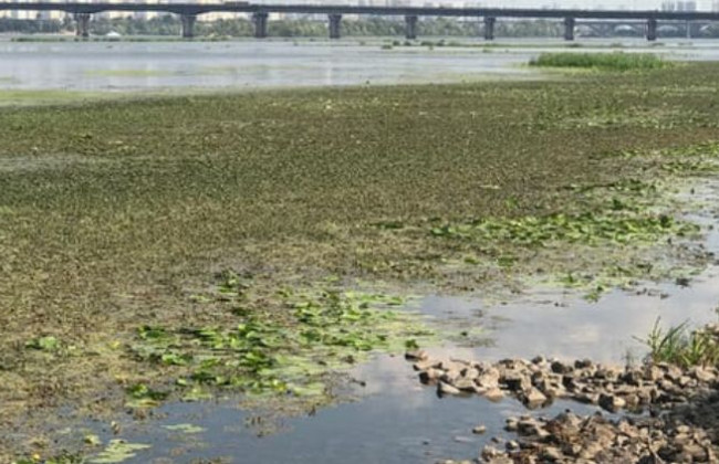 Киевлян предупредили о критическом состоянии Днепра