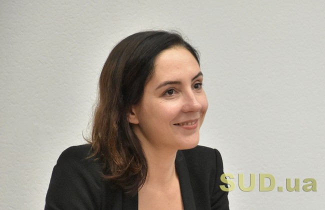 Жодних критичних проблем у нових процедурах банкрутства немає, — замміністра юстиції