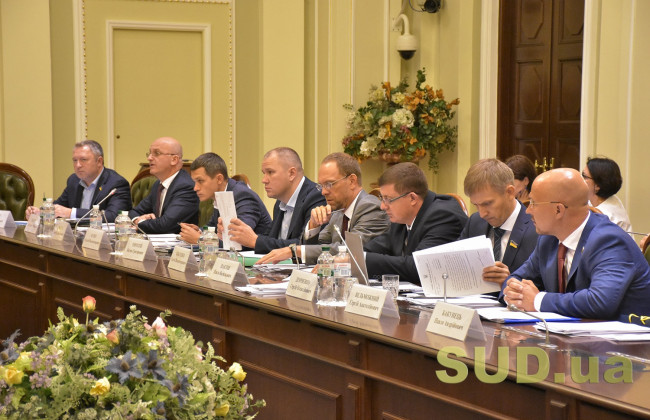 Рада розгляне законопроект про розширення підстав для самопредставництва юридичної особи