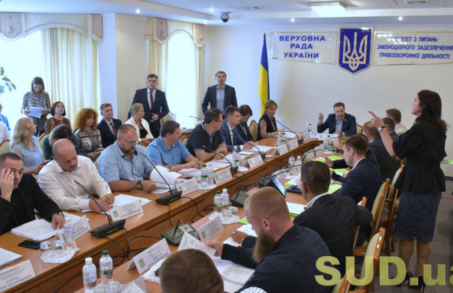 Депутати планують оптимізувати порядок внесення змін до кримінального законодавства