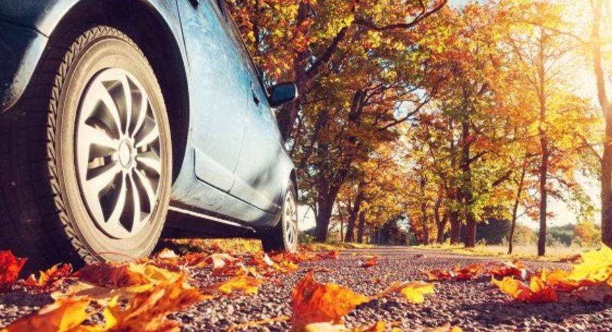 Водителям на заметку: как безопасно ездить осенью