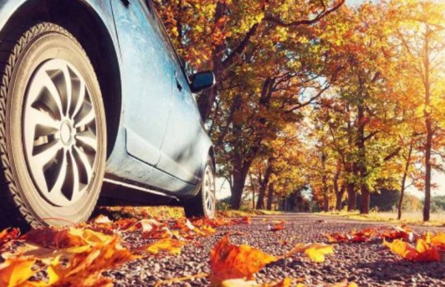 Водителям на заметку: как безопасно ездить осенью