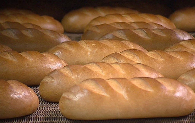 Під Києвом знайшли купу позеленілого хліба: є фото