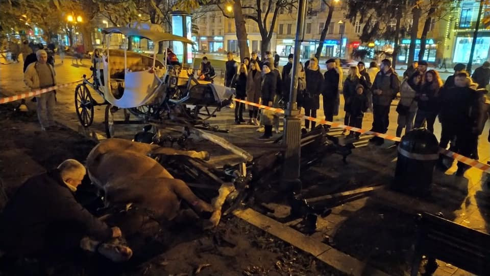 Лошади снесли скамейку с людьми в центре Львова: фото и видео