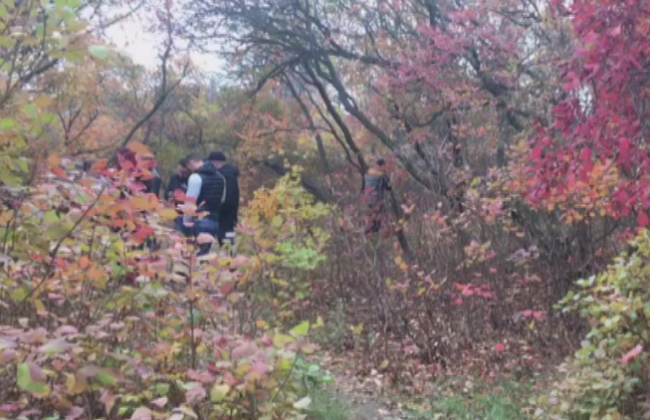 Под Одессой нашли тело пропавшей 14-летней девочки: фото и видео