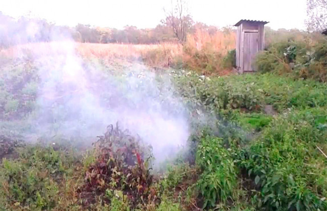 Под Херсоном пенсионер подорвался на собственном огороде