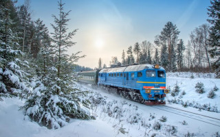 Укрзалізниця призначить додаткові поїзди на новорічні свята: що відомо
