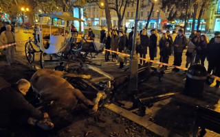 Лошади снесли скамейку с людьми в центре Львова: фото и видео