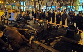 Инцидент с лошадьми во Львове: пострадавшего ребенка оперировали 6 часов
