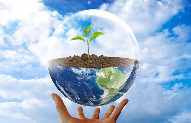 Спори, що виникають у сфері охорони природного середовища: практика ВС