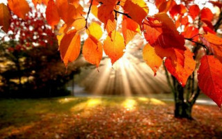 В Києві встановлено новий температурний рекорд