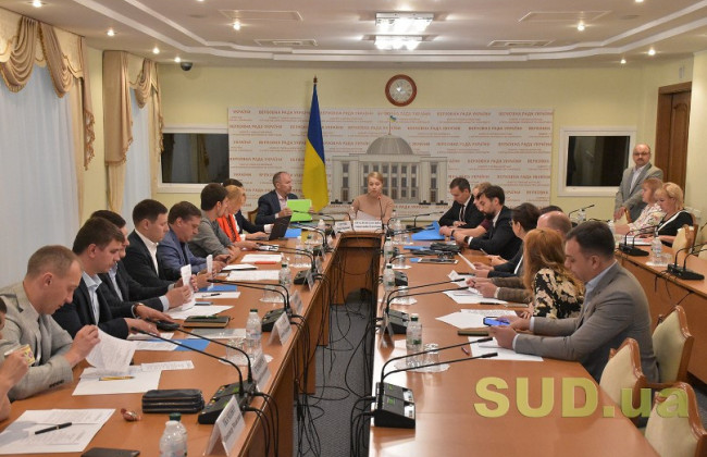 Антикорупційний комітет розглядає проект закону про внесення змін до Митного кодексу, трансляція