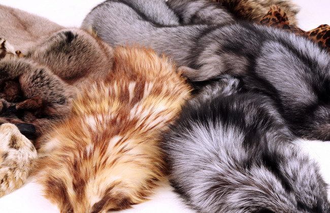 В Україні можуть заборонити хутрові ферми